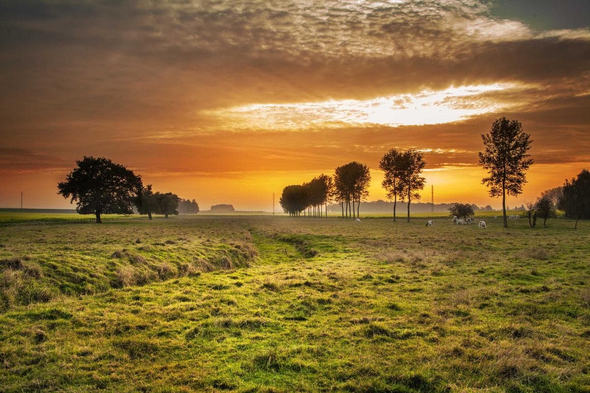 Luxurious Land Plot in Jakarta Pusat